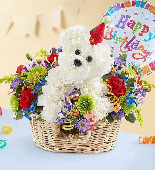 Birthday dog bouquet with carnations