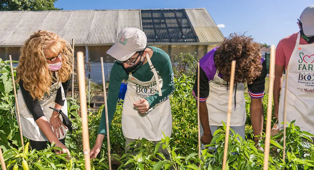 Celebrating Smile Farms and the importance of connection