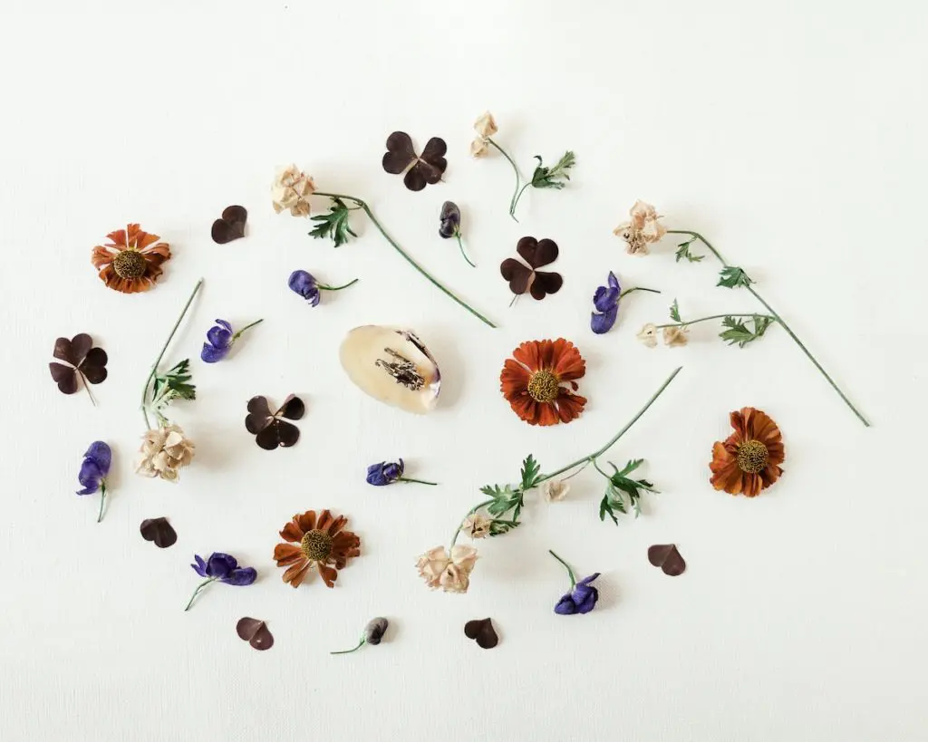 Picture of preserved flowers