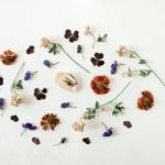 Picture of preserved flowers