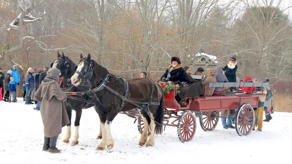 Picture of favorite holiday memory horse and carriage