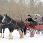 Picture of favorite holiday memory horse and carriage