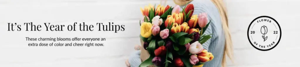 tulip of the year banner ad