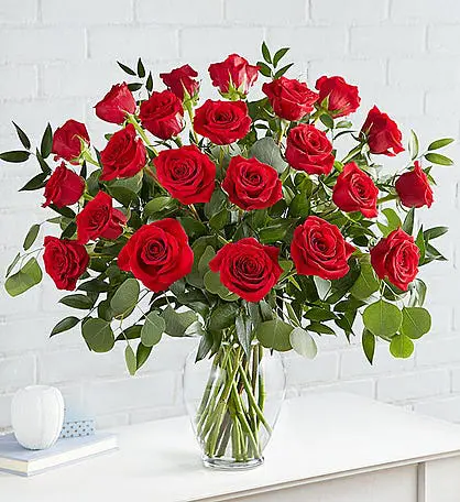 Heart's Desire red roses