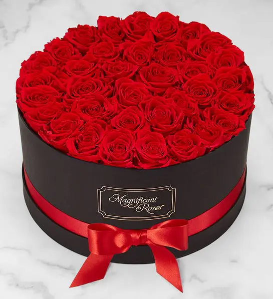 Picture of red Magnificent Roses