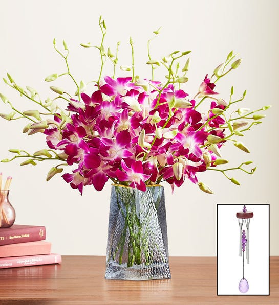 Picture of Exotic Breeze Orchids zodiac compatability gift