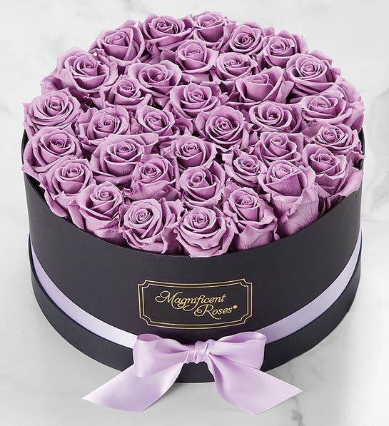 Photo of lavender preserved roses