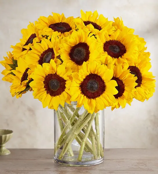 Sunflower Bouquet