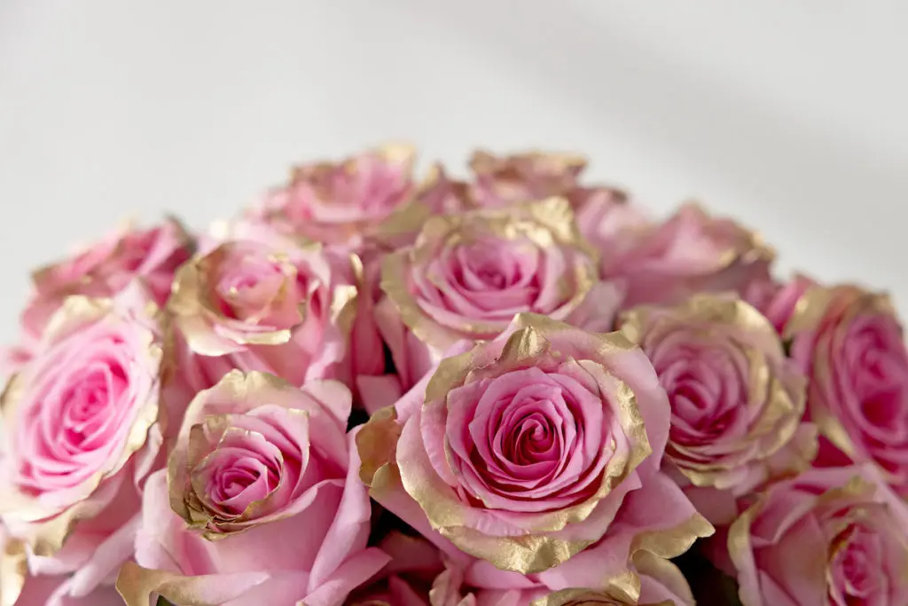 Picture of pink, gold dipped preserved roses