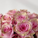 Picture of pink, gold dipped preserved roses