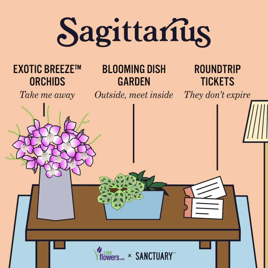 Illustration of zodiac compatibility Sagittarius gifts
