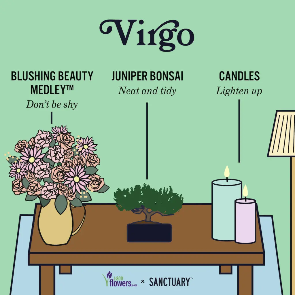 Illustration of zodiac compatibility Virgo gifts