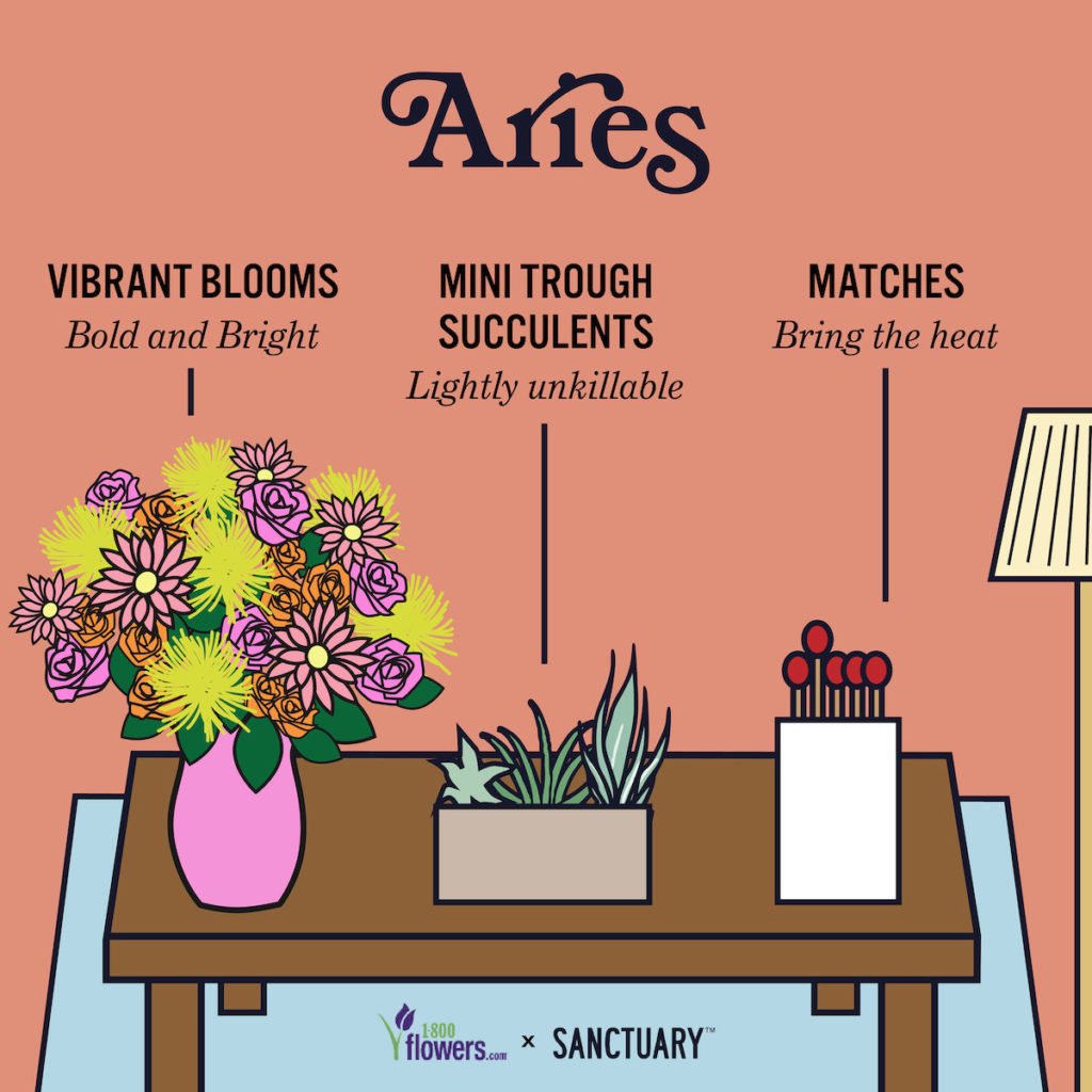 Illustration of zodiac compatibility Aries gifts