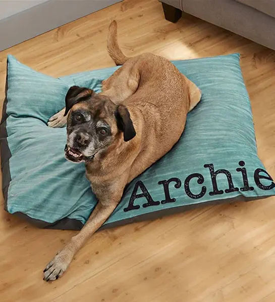 50th birthday gift ideas: dog bed