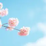 Spring flowers agains blue sky