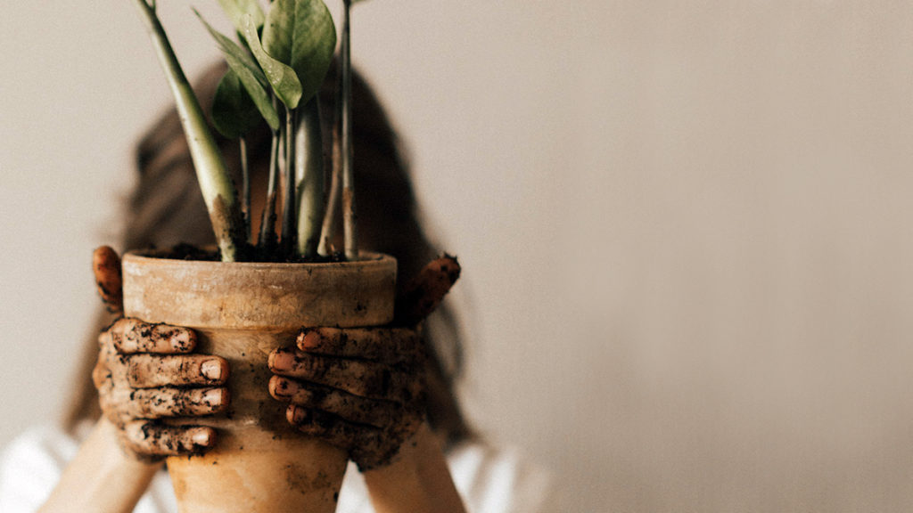 La foto muestra a una mujer tratando de trasplantar una planta