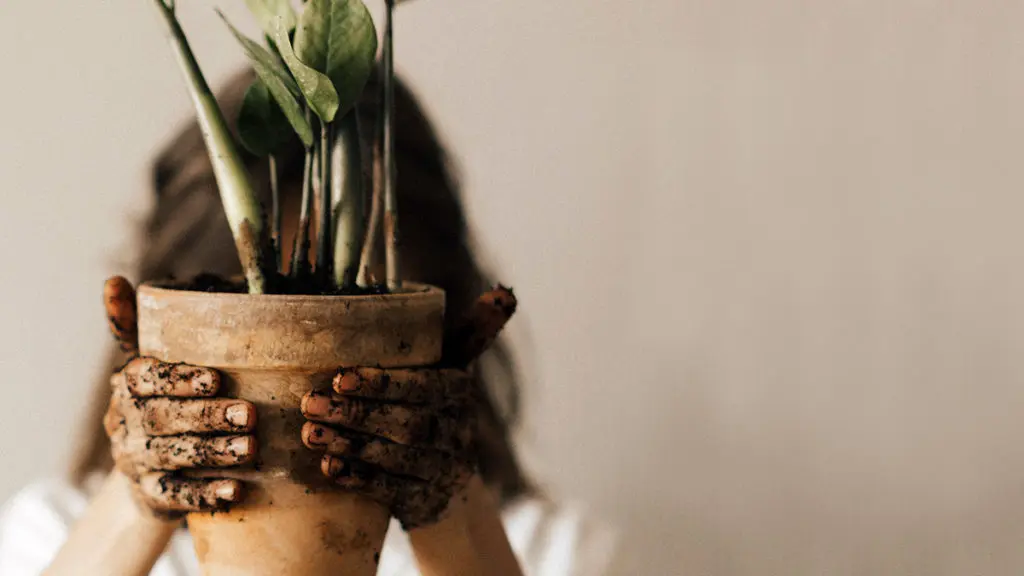 Photo showing a woman attempting to repot a plant