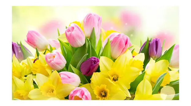 photo of easter flowers