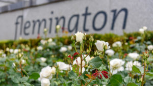 a photo of horse racing flowers: roses at flemington racecourse