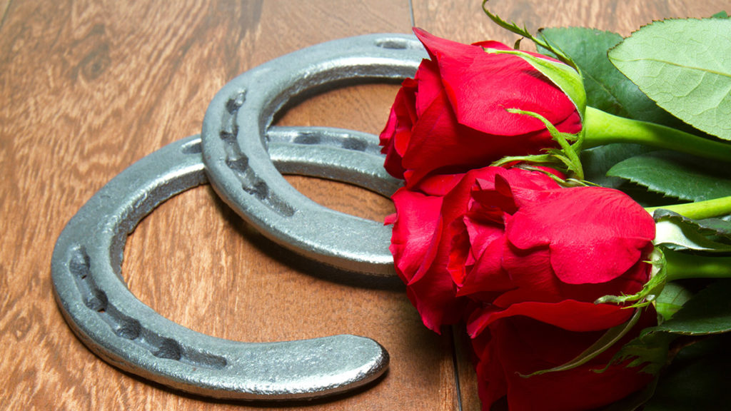 a photo of horse racing flowers: roses and horseshoes