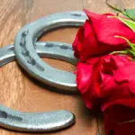 a photo of horse racing flowers: roses and horseshoes