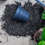 Photo of an empty plant container and soil, a messy step when you repot a plant