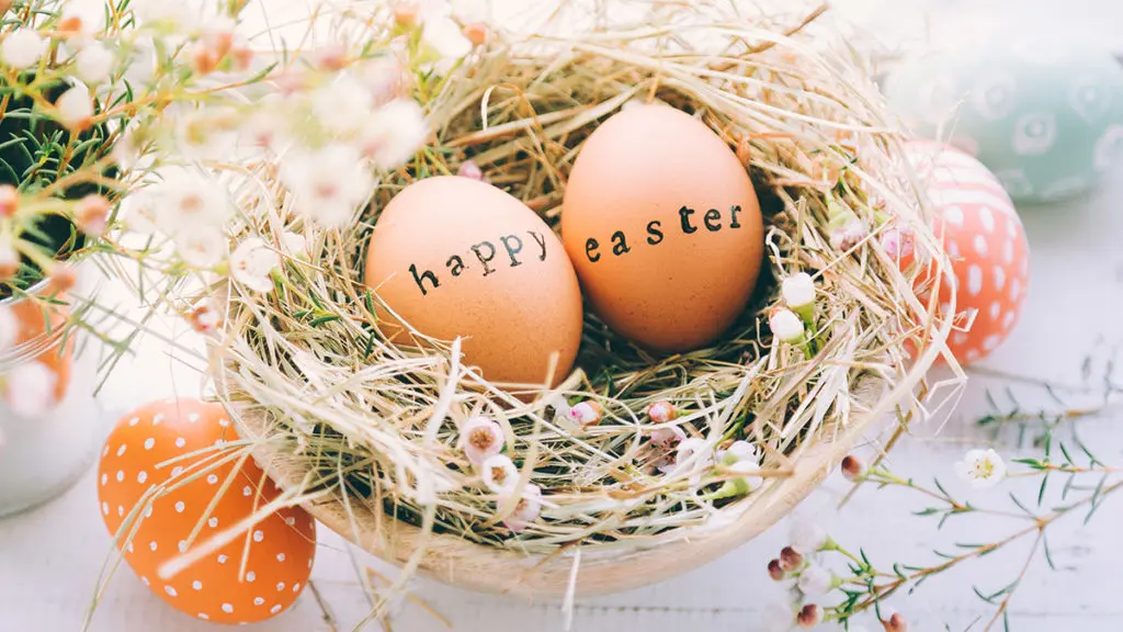 A photo of Easter egg designs with stamped easter eggs