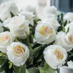 a photo of rose quotes with a bouquet of white roses