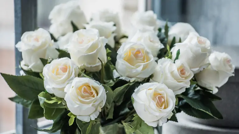 52 Inspiring Quotes About Roses