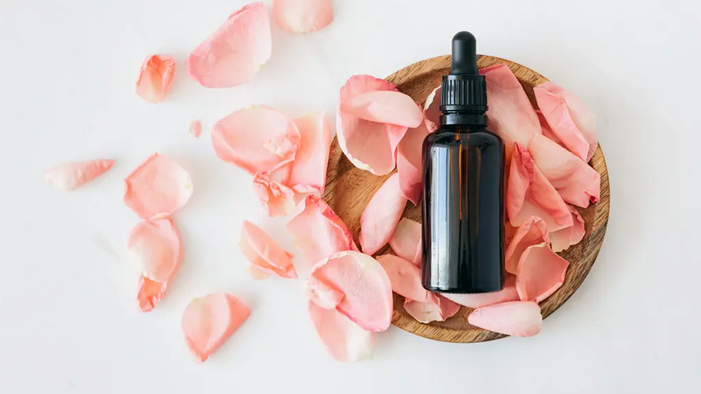 a photo of facts about roses with rose oil