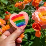 A photo of celebrate pride month with a piece of paper with a rainbow flag painted on it on a background of roses