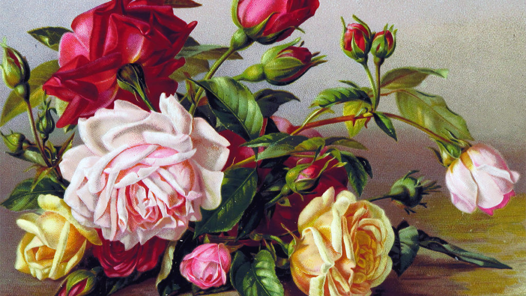 una foto de hechos sobre rosas con una pintura de rosas