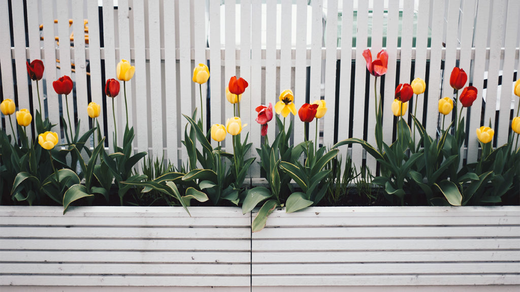 A photo of front porch ideas with flower boxes