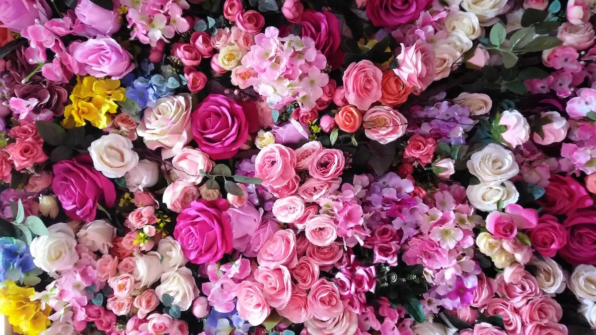 a photo of june birthdays with different color roses