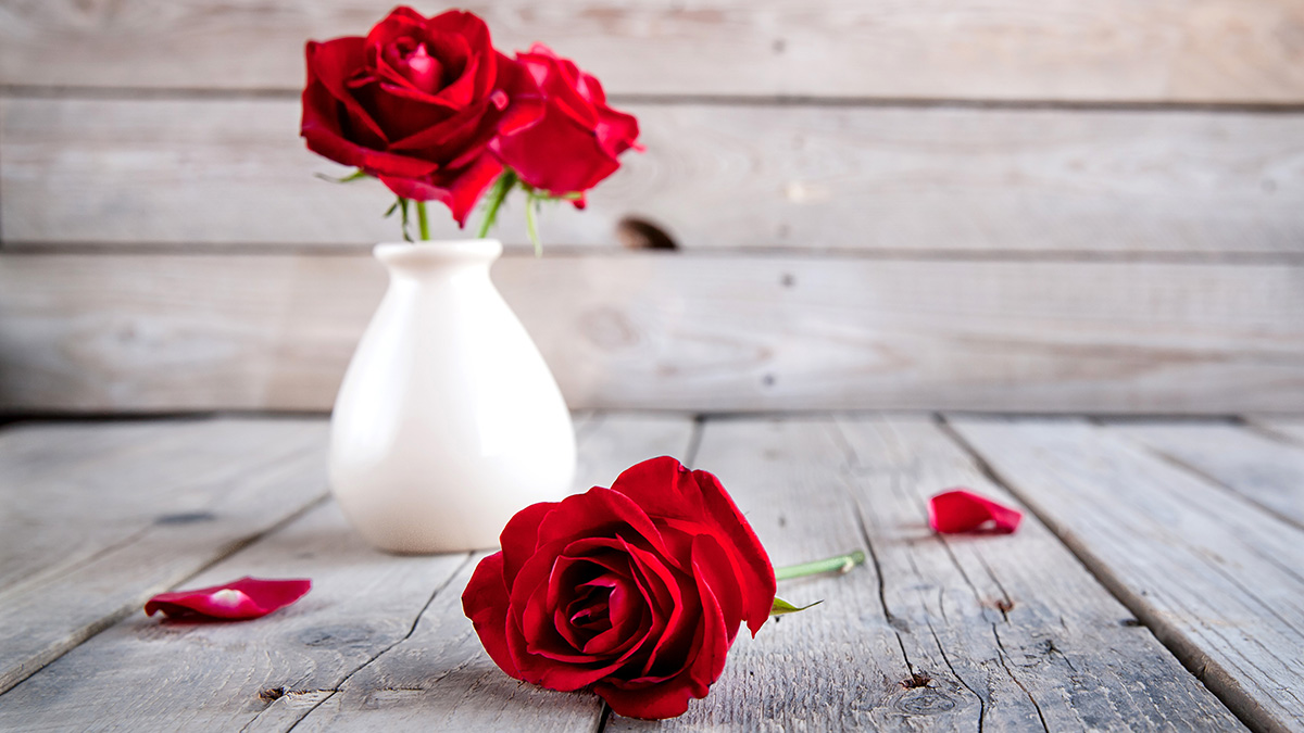 a photo of meaning of red roses with a red rose in a vase on a wooden table