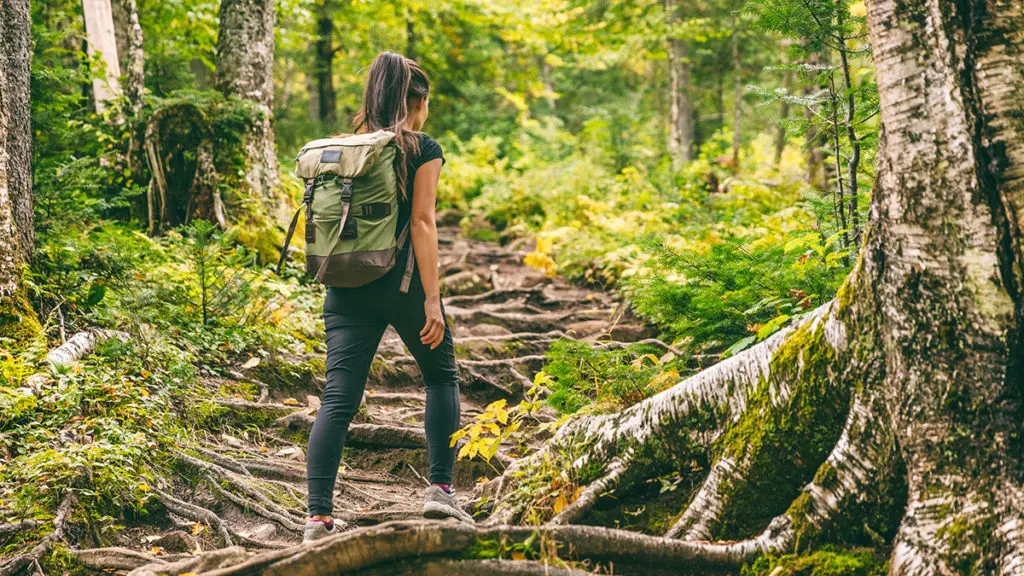 Photo of public tragedy with a woman walking through a forest