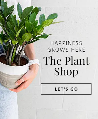 plants ad