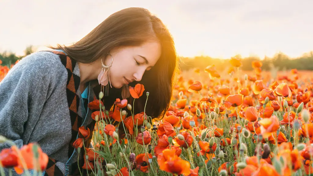 august birtdhays with young woman smelling a red poppy in flower meadow in summer sunset