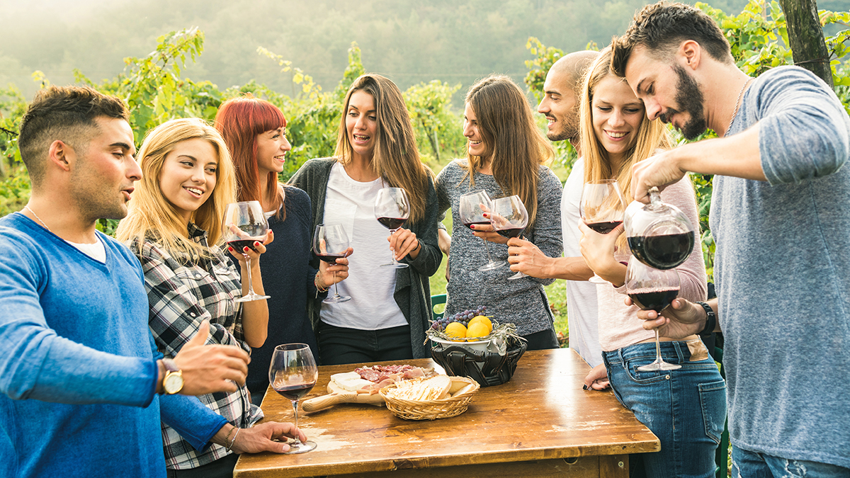 fiesta de cumpleaños de verano con un grupo de amigos al aire libre bebiendo vino tinto
