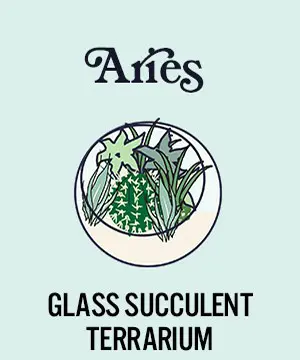 photo of zodiac plants with glass succulent terrarium for aries