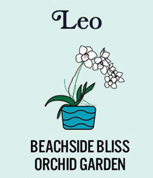 photo of zodiac plants with beachside bliss orchid garden for leo