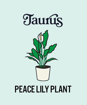 photo of zodiac plants with peace lily plant for taurus