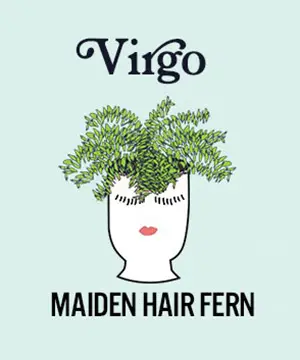 photo of zodiac plants with maiden hair fern for virgo