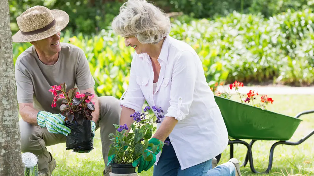 5 Health Benefits of Gardening
