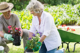 5 Health Benefits of Gardening