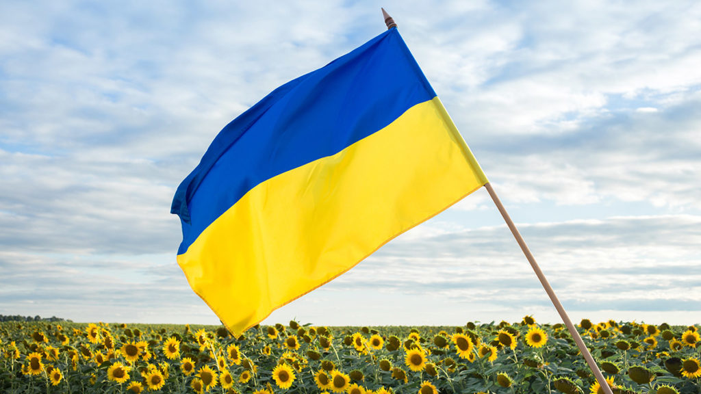 Flores de Ucrania con bandera ucraniana en campo de girasoles