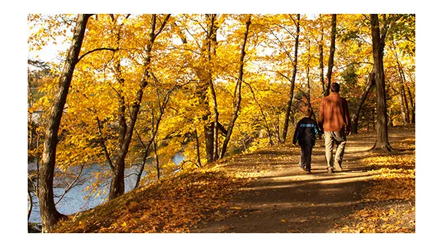 A father and son are celebrating fall by walking down a biking path