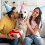 Gifts for pets with a man and woman sitting on either side of a golden retriever all wearing party hats with the man holding a gift.