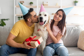 Psychology Behind Buying Gifts for Your Pets
