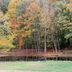 fall quotes with A man loving fall as he stands near a pond amid trees with changing foliage